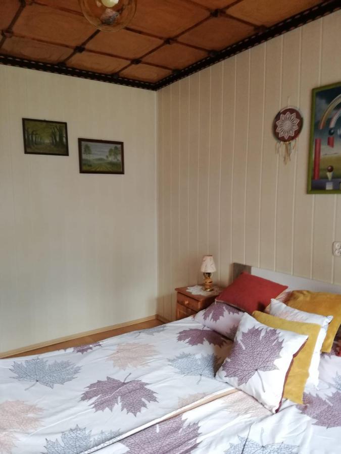 Apartament Nad Szumiacym Potokiem Wilkowice 外观 照片