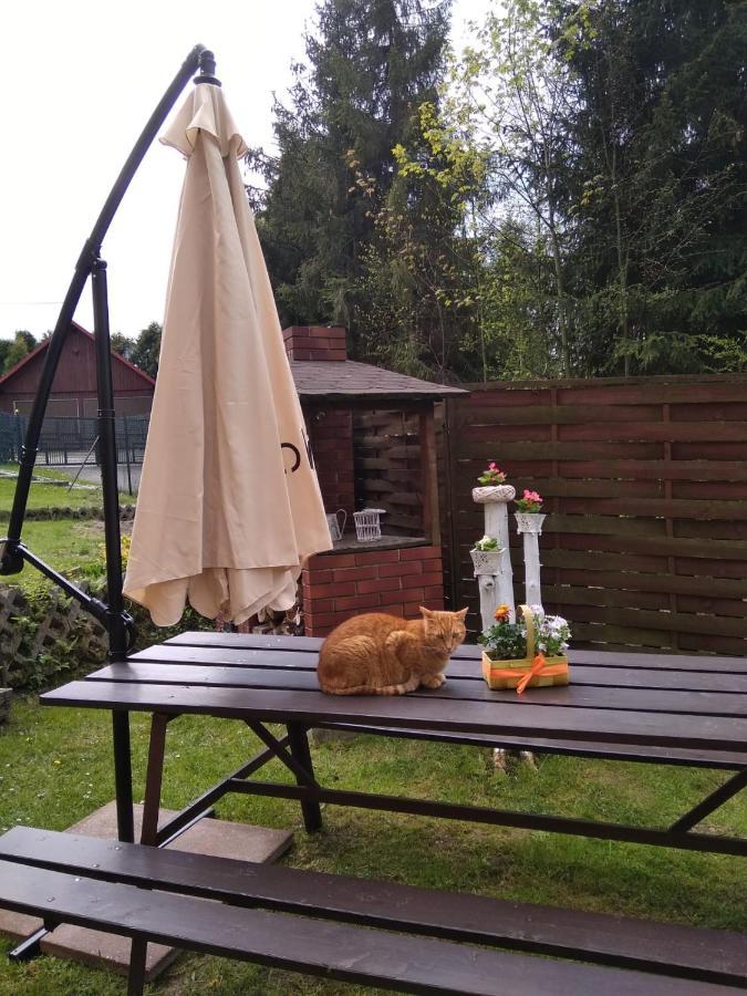 Apartament Nad Szumiacym Potokiem Wilkowice 外观 照片